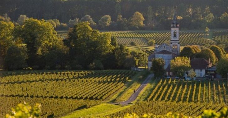 Quels vignobles et domaines viticoles visiter dans le sud-ouest ?